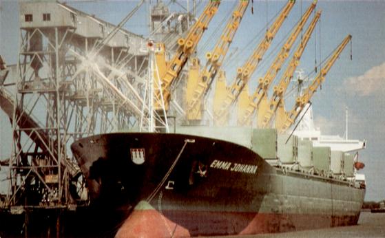 Transporte marítimo de granos y sus productos (Lecciones on-line)